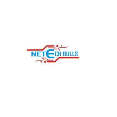Bulls Netech 